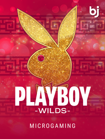 Playboy Wildspng icon